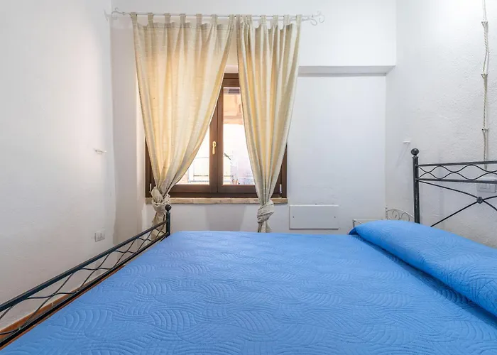 Bella - Cuili Murvoni Solanas